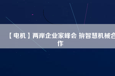 【電機(jī)】?jī)砂镀髽I(yè)家峰會(huì) 拚智慧機(jī)械合作
          