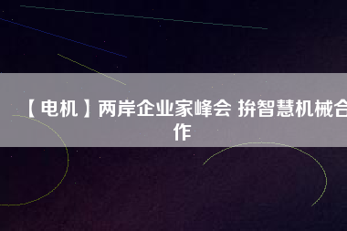 【電機(jī)】?jī)砂镀髽I(yè)家峰會(huì) 拚智慧機(jī)械合作
          
