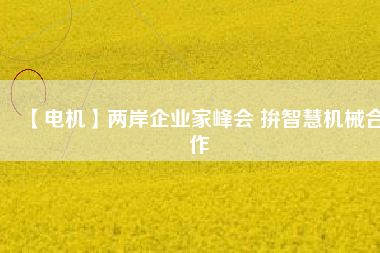 【電機(jī)】?jī)砂镀髽I(yè)家峰會(huì) 拚智慧機(jī)械合作
          