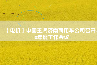 【電機(jī)】中國重汽濟(jì)南商用車公司召開2018年度工作會(huì)議
          