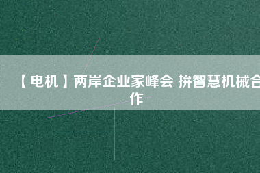 【電機(jī)】?jī)砂镀髽I(yè)家峰會(huì) 拚智慧機(jī)械合作
          