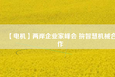 【電機(jī)】?jī)砂镀髽I(yè)家峰會(huì) 拚智慧機(jī)械合作
          