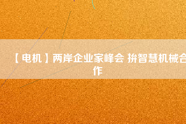 【電機(jī)】?jī)砂镀髽I(yè)家峰會(huì) 拚智慧機(jī)械合作
          