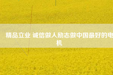 精品立業(yè) 誠(chéng)信做人勵(lì)志做中國(guó)最好的電機(jī)
          