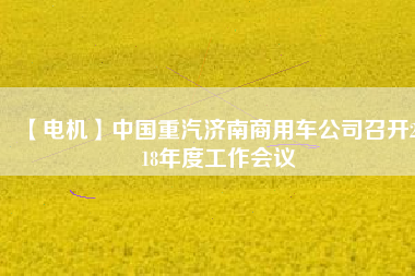 【電機(jī)】中國重汽濟(jì)南商用車公司召開2018年度工作會(huì)議
          