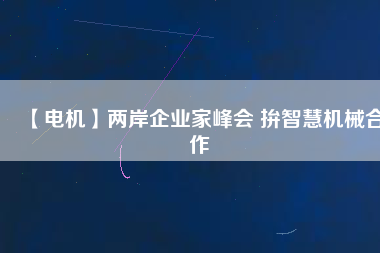 【電機(jī)】?jī)砂镀髽I(yè)家峰會(huì) 拚智慧機(jī)械合作
          