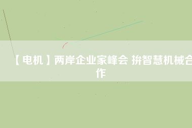 【電機(jī)】?jī)砂镀髽I(yè)家峰會(huì) 拚智慧機(jī)械合作
          