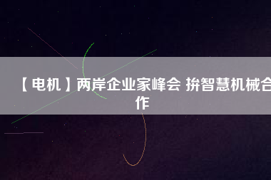 【電機(jī)】?jī)砂镀髽I(yè)家峰會(huì) 拚智慧機(jī)械合作
          