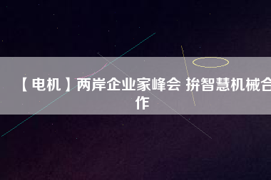 【電機(jī)】?jī)砂镀髽I(yè)家峰會(huì) 拚智慧機(jī)械合作
          