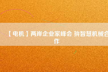 【電機(jī)】?jī)砂镀髽I(yè)家峰會(huì) 拚智慧機(jī)械合作
          