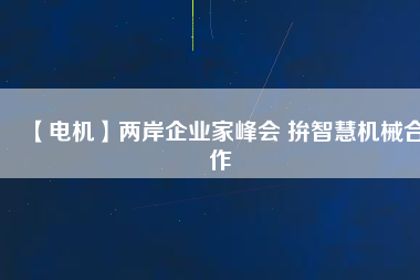 【電機(jī)】?jī)砂镀髽I(yè)家峰會(huì) 拚智慧機(jī)械合作
          