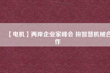 【電機(jī)】?jī)砂镀髽I(yè)家峰會(huì) 拚智慧機(jī)械合作
          