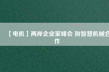 【電機(jī)】?jī)砂镀髽I(yè)家峰會(huì) 拚智慧機(jī)械合作
          