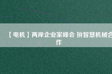 【電機(jī)】?jī)砂镀髽I(yè)家峰會(huì) 拚智慧機(jī)械合作
          