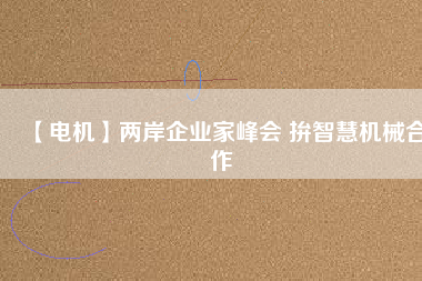 【電機(jī)】?jī)砂镀髽I(yè)家峰會(huì) 拚智慧機(jī)械合作
          