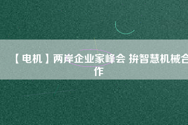 【電機(jī)】?jī)砂镀髽I(yè)家峰會(huì) 拚智慧機(jī)械合作
          