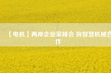 【電機(jī)】?jī)砂镀髽I(yè)家峰會(huì) 拚智慧機(jī)械合作
          