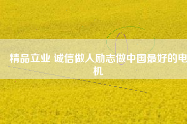 精品立業(yè) 誠(chéng)信做人勵(lì)志做中國(guó)最好的電機(jī)
          