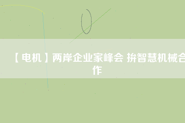 【電機(jī)】?jī)砂镀髽I(yè)家峰會(huì) 拚智慧機(jī)械合作
          
