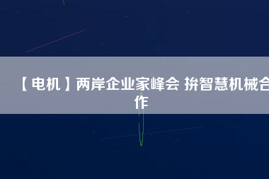 【電機(jī)】?jī)砂镀髽I(yè)家峰會(huì) 拚智慧機(jī)械合作
          