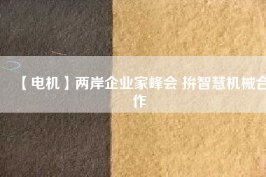 【電機(jī)】?jī)砂镀髽I(yè)家峰會(huì) 拚智慧機(jī)械合作
          