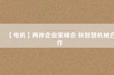 【電機(jī)】?jī)砂镀髽I(yè)家峰會(huì) 拚智慧機(jī)械合作
          