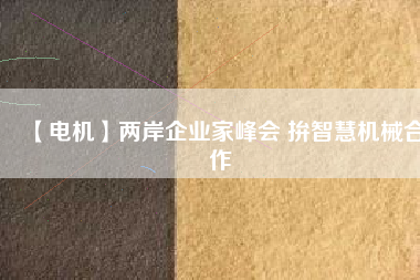 【電機(jī)】?jī)砂镀髽I(yè)家峰會(huì) 拚智慧機(jī)械合作
          
