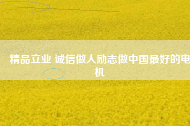 精品立業(yè) 誠(chéng)信做人勵(lì)志做中國(guó)最好的電機(jī)
          