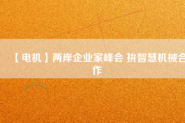【電機(jī)】?jī)砂镀髽I(yè)家峰會(huì) 拚智慧機(jī)械合作
          