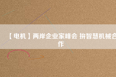 【電機(jī)】?jī)砂镀髽I(yè)家峰會(huì) 拚智慧機(jī)械合作
          