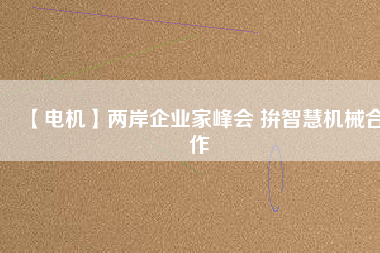 【電機(jī)】?jī)砂镀髽I(yè)家峰會(huì) 拚智慧機(jī)械合作
          
