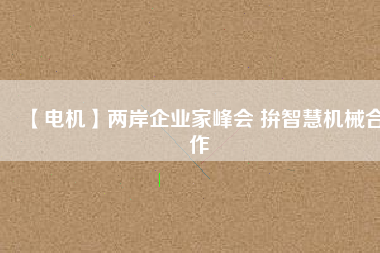 【電機(jī)】?jī)砂镀髽I(yè)家峰會(huì) 拚智慧機(jī)械合作
          