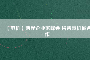 【電機(jī)】?jī)砂镀髽I(yè)家峰會(huì) 拚智慧機(jī)械合作
          