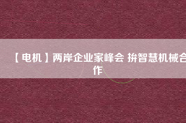 【電機(jī)】?jī)砂镀髽I(yè)家峰會(huì) 拚智慧機(jī)械合作
          