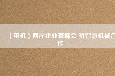 【電機(jī)】?jī)砂镀髽I(yè)家峰會(huì) 拚智慧機(jī)械合作
          