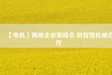 【電機(jī)】?jī)砂镀髽I(yè)家峰會(huì) 拚智慧機(jī)械合作
          