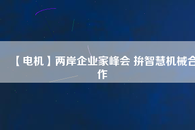 【電機(jī)】?jī)砂镀髽I(yè)家峰會(huì) 拚智慧機(jī)械合作
          