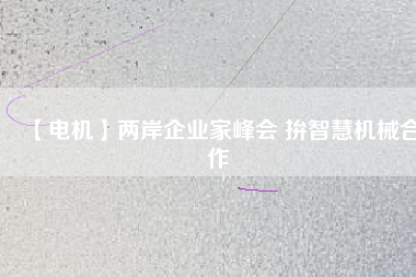【電機(jī)】?jī)砂镀髽I(yè)家峰會(huì) 拚智慧機(jī)械合作
          