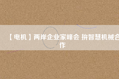 【電機(jī)】?jī)砂镀髽I(yè)家峰會(huì) 拚智慧機(jī)械合作
          