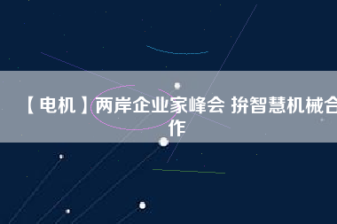 【電機(jī)】?jī)砂镀髽I(yè)家峰會(huì) 拚智慧機(jī)械合作
          