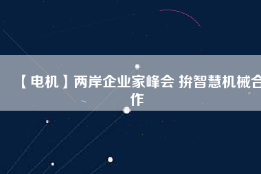 【電機(jī)】?jī)砂镀髽I(yè)家峰會(huì) 拚智慧機(jī)械合作
          