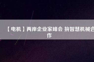 【電機(jī)】?jī)砂镀髽I(yè)家峰會(huì) 拚智慧機(jī)械合作
          