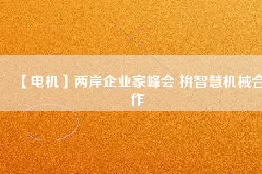 【電機(jī)】?jī)砂镀髽I(yè)家峰會(huì) 拚智慧機(jī)械合作
          