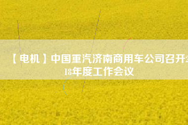 【電機(jī)】中國重汽濟(jì)南商用車公司召開2018年度工作會(huì)議
          