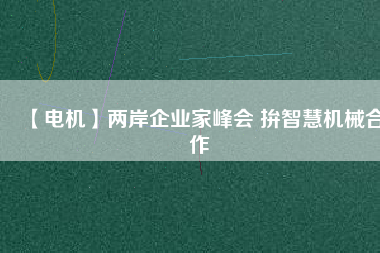 【電機(jī)】?jī)砂镀髽I(yè)家峰會(huì) 拚智慧機(jī)械合作
          