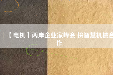 【電機(jī)】?jī)砂镀髽I(yè)家峰會(huì) 拚智慧機(jī)械合作
          