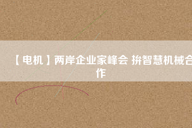 【電機(jī)】?jī)砂镀髽I(yè)家峰會(huì) 拚智慧機(jī)械合作
          