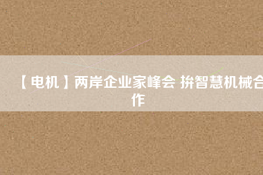 【電機(jī)】?jī)砂镀髽I(yè)家峰會(huì) 拚智慧機(jī)械合作
          