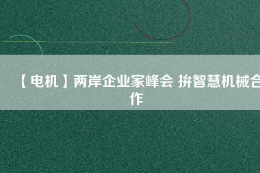 【電機(jī)】?jī)砂镀髽I(yè)家峰會(huì) 拚智慧機(jī)械合作
          