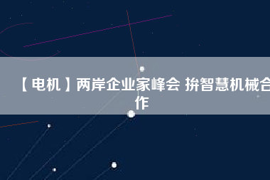 【電機(jī)】?jī)砂镀髽I(yè)家峰會(huì) 拚智慧機(jī)械合作
          